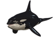 PNGL.png ORCA Killer Whale Dolphin FISH sea CREATURE 3D ANIMATED RIGGED MODEL