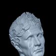 Head-of-Rome-2.jpg Head of Rome