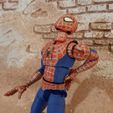 IMG_20230523_145525_994.jpg Spider-Man: Friend or Foe Complete Action Figure