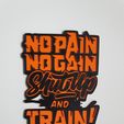 20230307_091101.jpg No Pain No Gain Shutup And Train !