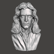 Isaac-Newton-1.png 3D Model of Isaac Newton - High-Quality STL File for 3D Printing (PERSONAL USE)