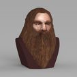 gimli-lord-of-the-rings-bust-full-color-3d-printing-ready-3d-model-obj-stl-wrl-wrz-mtl (3).jpg Gimli Lord of the Rings bust full color 3D printing ready