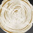 SE7.jpg Wood Slice Stump Cut trunk Tree cross-section