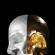 untitled8.png Skull lowpoly 03 VN