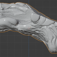 47.PNG.176a07943999b9d1b6753e03ec759c1e.png 3D Model of Human Brain