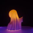 IMG_20230929_191923_494.jpg Realistic effect sheet ghost!
