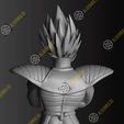 Vegeta9.jpg Vegeta (classic armor)
