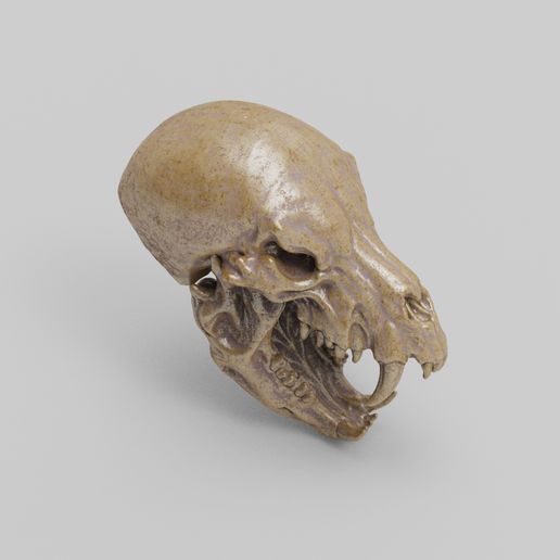 005.jpg Werewolf Skull2