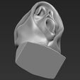 q22.jpg Ghostface from Scream bust ready for full color 3D printing
