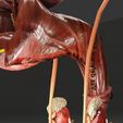 4-1.jpg Genito-urinary tract male 3D model 3D model
