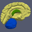 18.png 3D Model of Human Brain v3