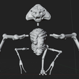 IMAGE-1.png Alien from the movie War of the Worlds - Tripod (2005)