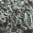 14.jpg Lichen 8K PBR Texture