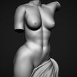 13.jpg Female Torso 3D Model