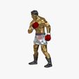im_02.jpg Muhammad Ali