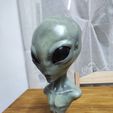 IMG_20220312_002359.jpg GREY ALIEN BUST MODEL