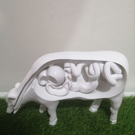 IMG_20230814_135108.jpg VERDAUUNGSSYSTEM DER KUH