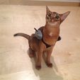 yumi3_display_large.jpg Free STL file Battle Kitten Ayumi・3D printer design to download