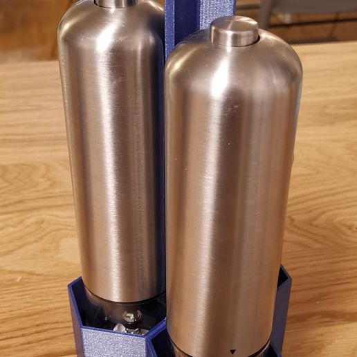 spice organizer / salt and pepper holder / spice rack / tray 3D model