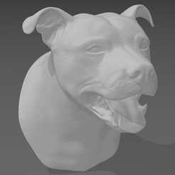 Screenshot-2023-05-02-132038.png Fichier STL Staffordshire Bull Terrier Tête Buste・Objet pour imprimante 3D à télécharger