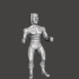 2023-12-04-13_34_57-Autodesk-Meshmixer.png figure antique wrestler bootleg knockoff karate kid wwf wwc