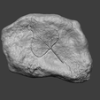 l1.png Leaf Mineral Fossile - Realistic Printable Resin