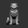 scottish-fold-cat-3d-model-733b2059eb.jpg Scottish fold cat 3D print model