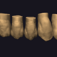 Screenshot-2023-11-02-160928.png teeth libraries