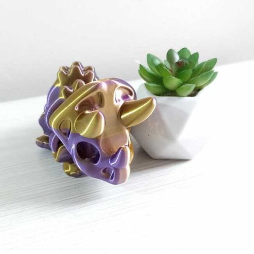 WhatsApp-Image-2023-08-01-at-8.01.18-AM.jpeg Nice Triceratops Skeleton