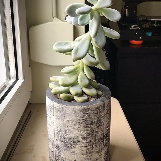 Planter Pot