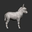 Donkey-baby7.jpg Modelo de impresión 3D de bebé burro