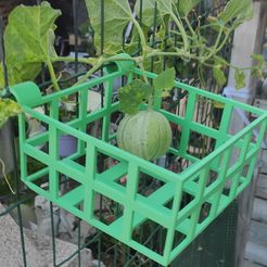 1695855822594.jpg 3MF-Datei Garten Obstregal Gitter・3D-Druckvorlage zum Herunterladen