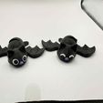 6dbace96-5ade-4a90-9435-35a70315e3f7.jpg Mignonne petite chauve-souris Flexi !