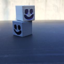 WhatsApp-Image-2022-07-31-at-12.14.33-1.jpeg Archivo STL lindo cubo de hielo・Objeto para impresora 3D para descargar