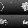 Screenshot-2023-10-10-093949.jpeg Veritas Enchanted Face Ring