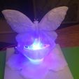 22a36778ff4068c67ee11bd6a2003279_display_large.jpg Butterfly Lamp