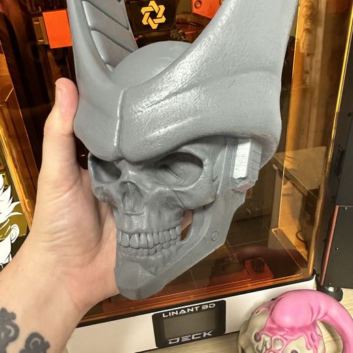 IMG_3604.jpg Crânio celular - Morgenstern