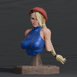 c7.png Cammy VS pose