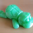 tortue flexible