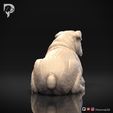 Bulldog-Pose-09-Dog-3D-Print-4s.jpeg Bulldog Dog 3D Print Model Pose 09
