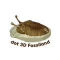 dot_3D_Fossiland