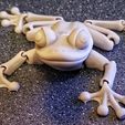 Симпатичная лягушка с флекси-принтом
