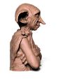 14.3.jpg Dobby Harry Potter 2