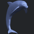27_TDA0613_Dolphin_03B08.png Dolphin 03