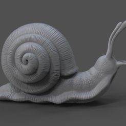 untitled.19.jpg Snail 3D printable model