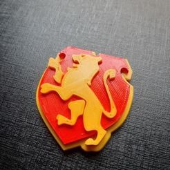 328295223_3470980619894401_5596036156024821702_n.jpg Archivo STL escudo de harry potter, casa gryffindor・Diseño para descargar y imprimir en 3D