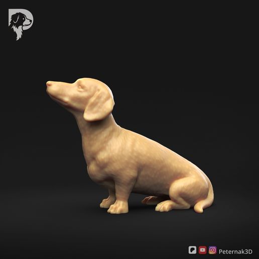 Dachshund-Smooth-Haired-Pose-05-Dog-3D-Print-8s.jpeg Teckel à poil lisse Pose 05