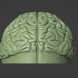 Screenshot_3.png Molde da tampa do cérebro_Formação de vácuo