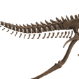5.png Esqueleto completo de Albertossauro