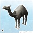 1-PREM.jpg Camel (4) - Animal Savage Nature Circus Scuplture High-detailed